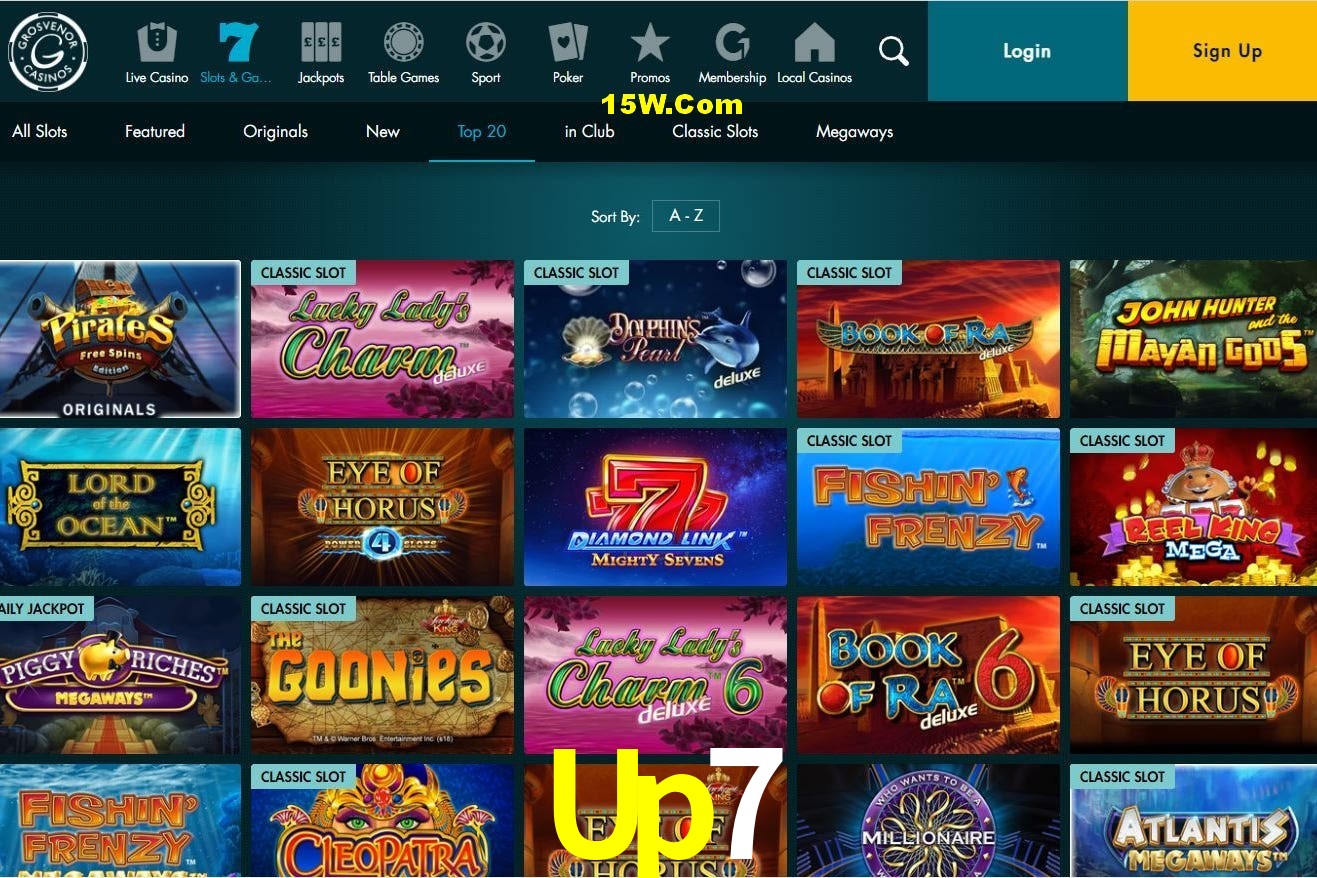 Experiência VIP Up7